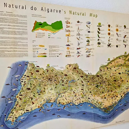 Ancora & Pool Full House Villa