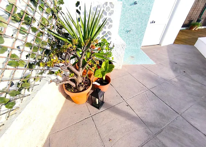 Ancora & Pool Full House