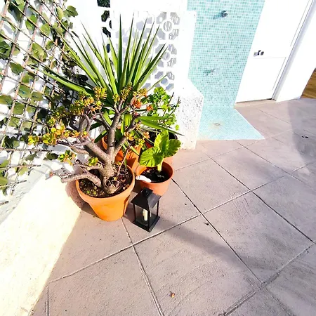 Ancora & Pool Full House