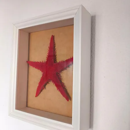 Ancora&pool Full House Villa *