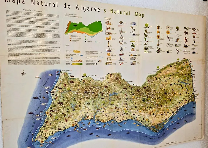 Ancora & Pool Full House Villa